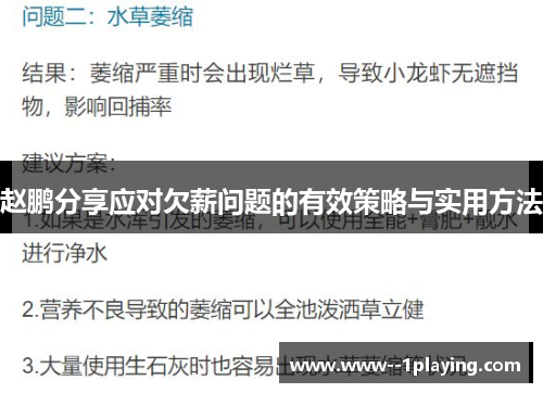 赵鹏分享应对欠薪问题的有效策略与实用方法 赵鹏分享应对欠薪问题的有效策略与实用方法