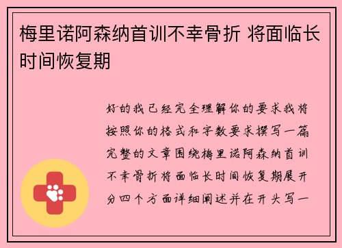 梅里诺阿森纳首训不幸骨折 将面临长时间恢复期 梅里诺阿森纳首训不幸骨折 将面临长时间恢复期